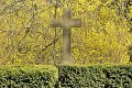 Fruehling2012   054